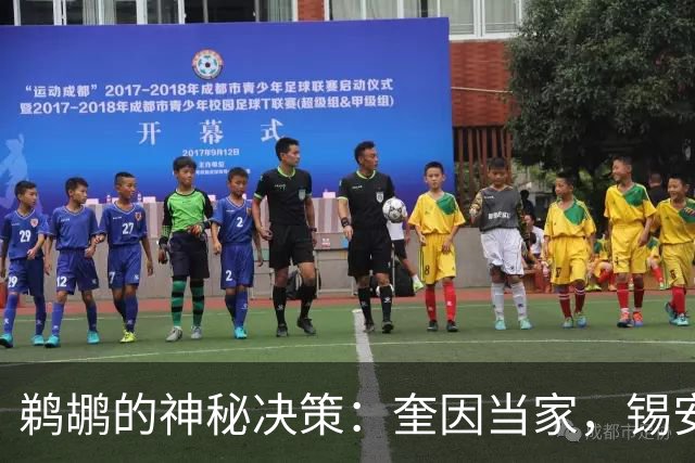 鹈鹕的神秘决策：奎因当家，锡安成配角？